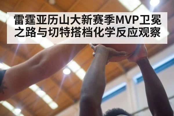 basketball defense block